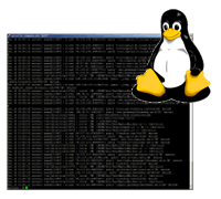 Linux